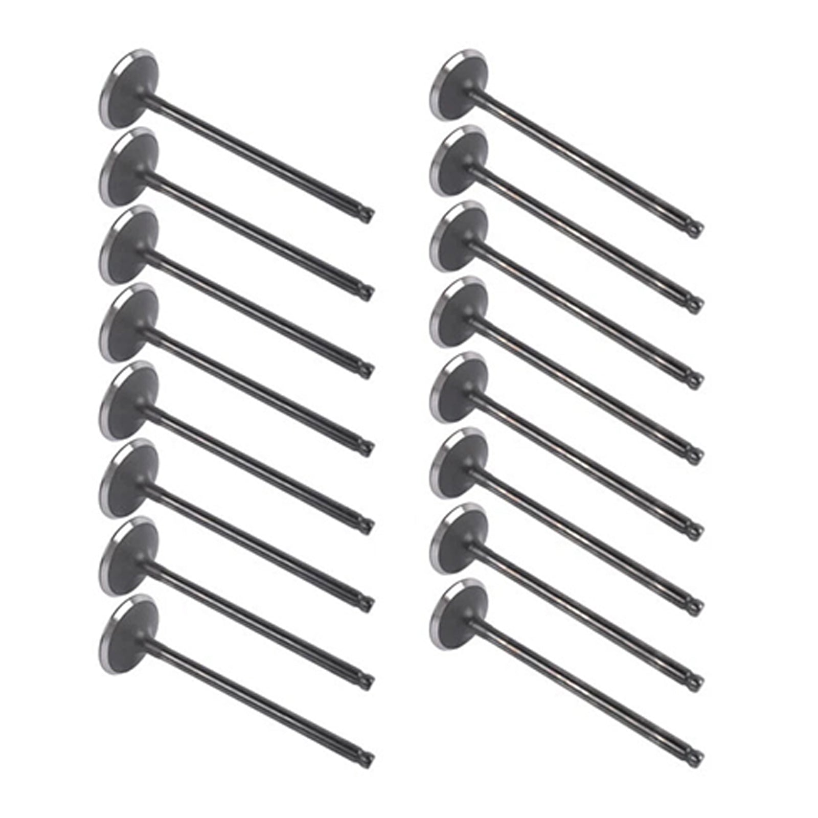 Kit valvola d'ammissione di&Scarico 16 pezzi per Toyota Scion L4 1.8L DOHC 2ZR-FE 2008-2015