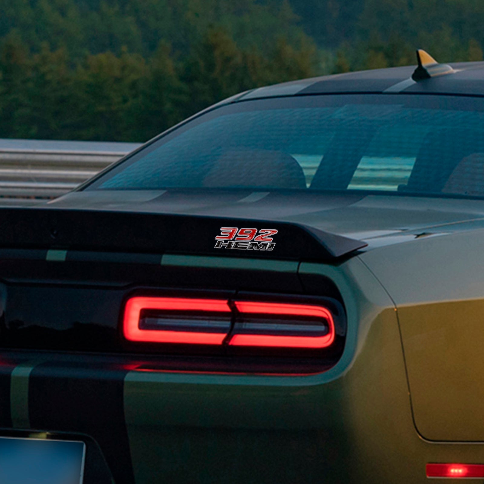 2 3D Hemi 392 Emblemen voor zijkwadguards, voor Challenger Charger