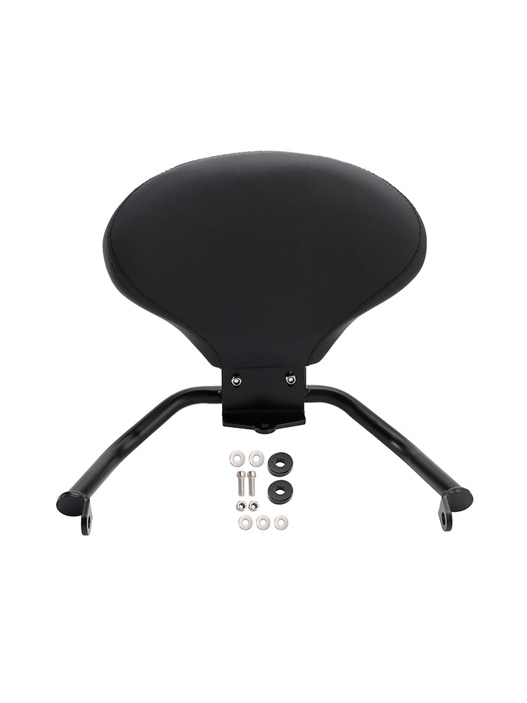 Passagiersbestand Sissy Bar voor Kawasaki Eliminator 500 2024-2025