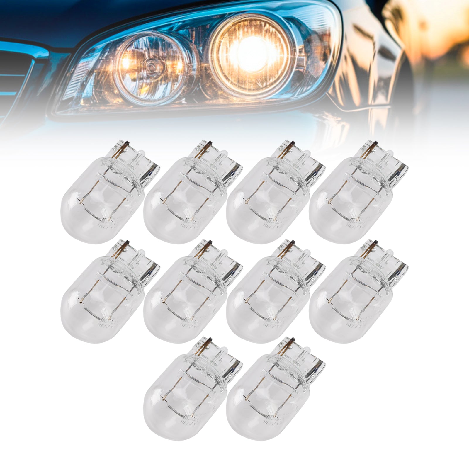 Ampoule Auxiliaire Halogène Voiture W21W 12V 21W Pour HELLA 8GA 000 892-002