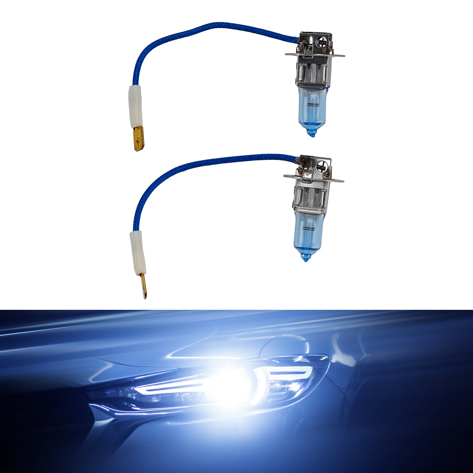 Ampoule Phare Halogène Améliorée Voiture H3 12V 55W Pour HELLA 8GH 178 560-683