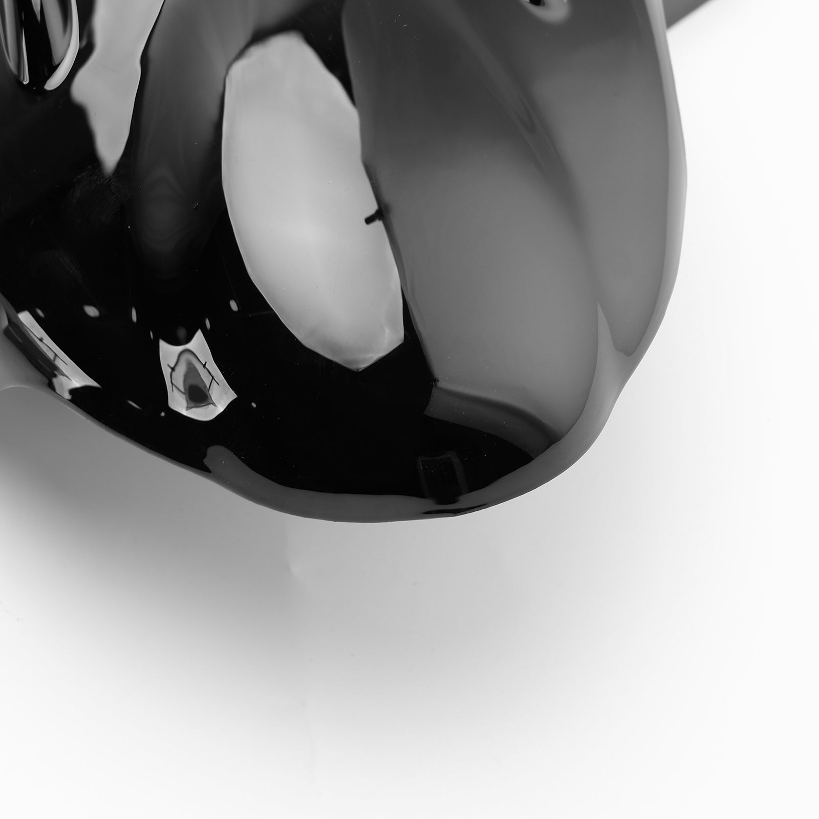 PIGNON CATTERE PILIZIONE PROTEZIONE PRIMA DI SPEED TWIN 900 2023-2024