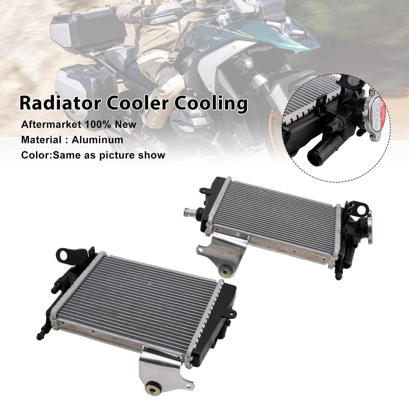 Radiateurkoeler voor BMW R1300GS 2024-2025 motor