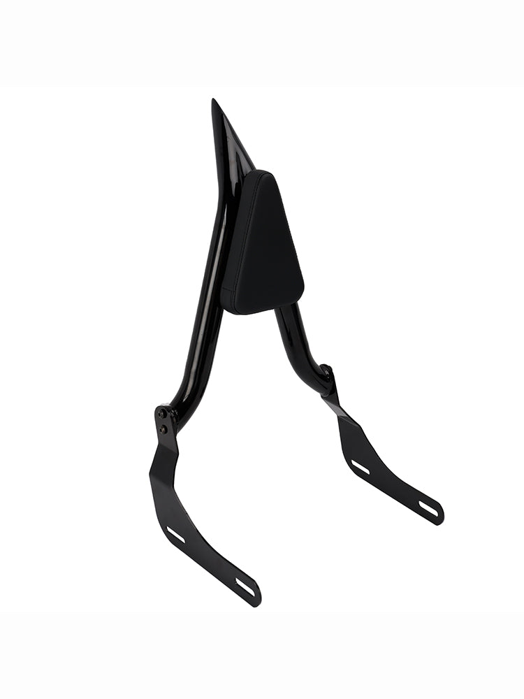 Passagiersbestand Sissy Bar voor Honda CMX1100 2021-2024