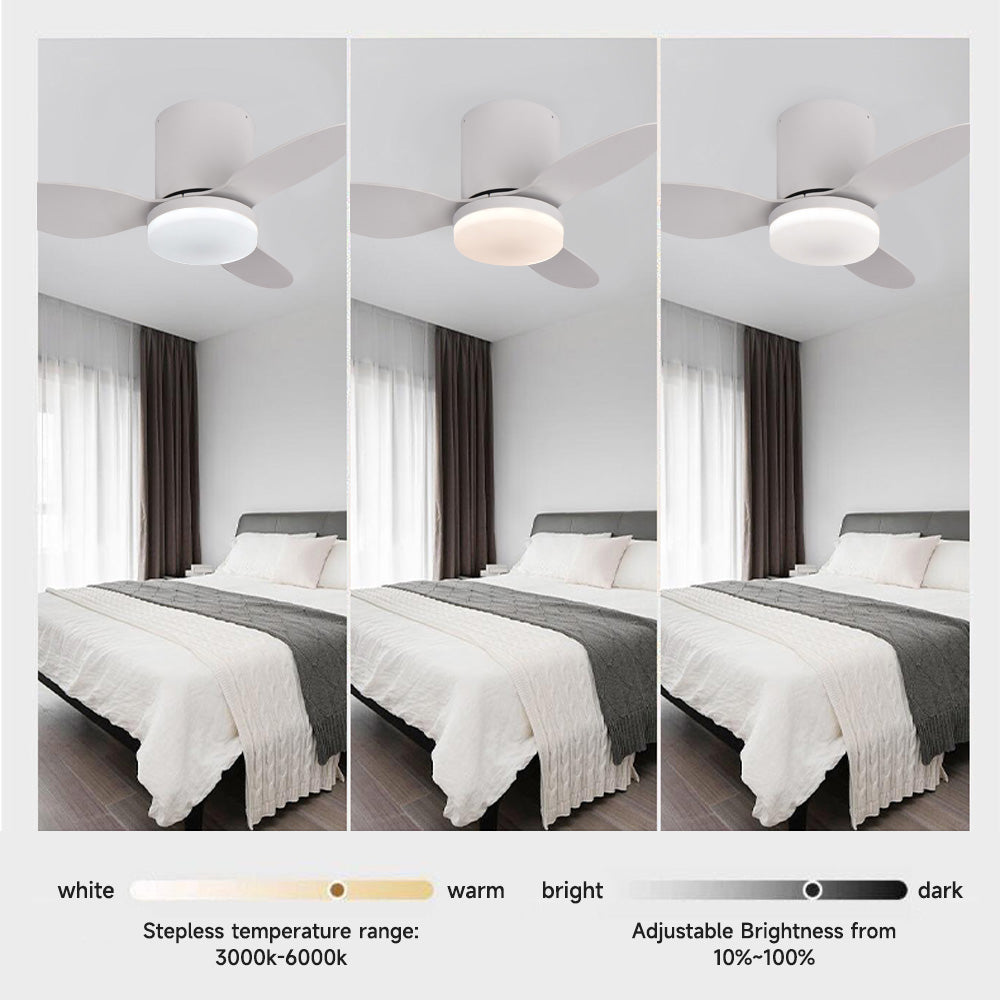 Ventilateur de Plafond LED 52 Pouces – 6 Vitesses, Moteur CC Silencieux, Contrôle Télécommande/App