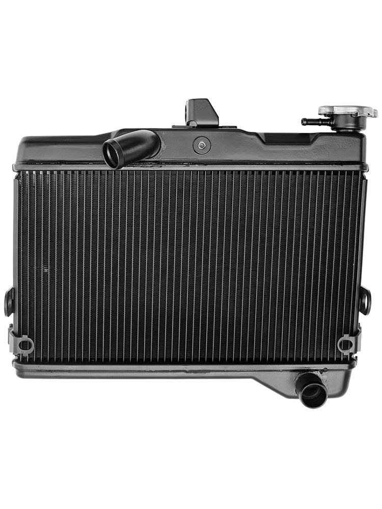 Enfriador de enfriamiento de radiador Yamaha Tenere 700 XTZ700 2019-2024