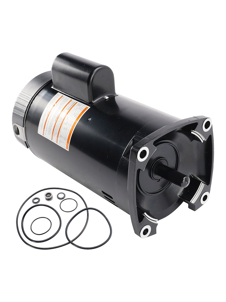 B2842 1.5 CV Motor de piscina 230 V 3 450 RPM