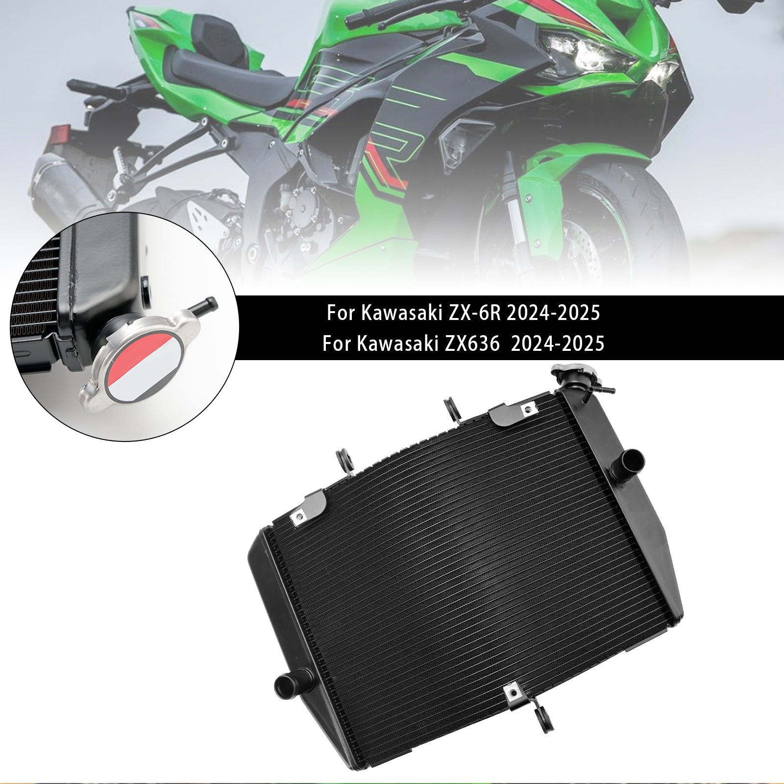 Kawasaki ZX-6R ZX636 2024-2025