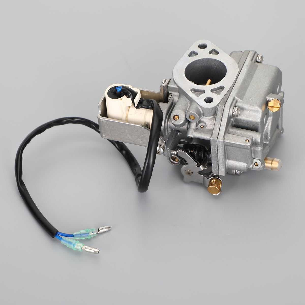 Carburatore per fuoribordo Yamaha 4 tempi F20 07-18 6AH-14301-00 6AH-14301-01