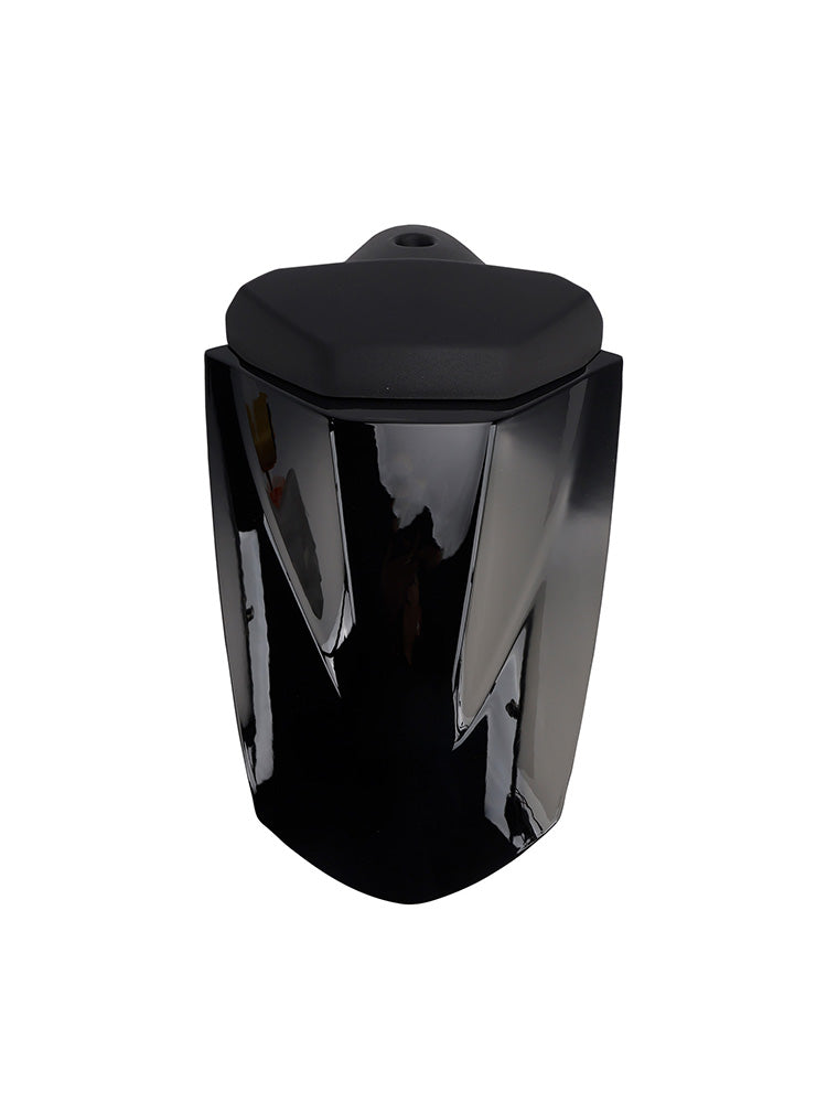 Carénage arrière de selle pour Speed Triple 1200 RS (2025-2026)