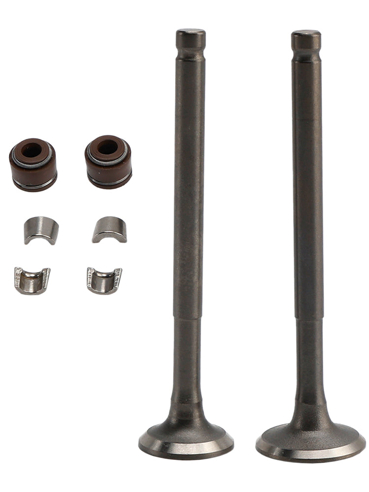 Kit de soupapes d'admission et d'échappement 69 mm pour cyclomoteur GY6 139QMB 50cc 80cc Sunl Baja Taotao