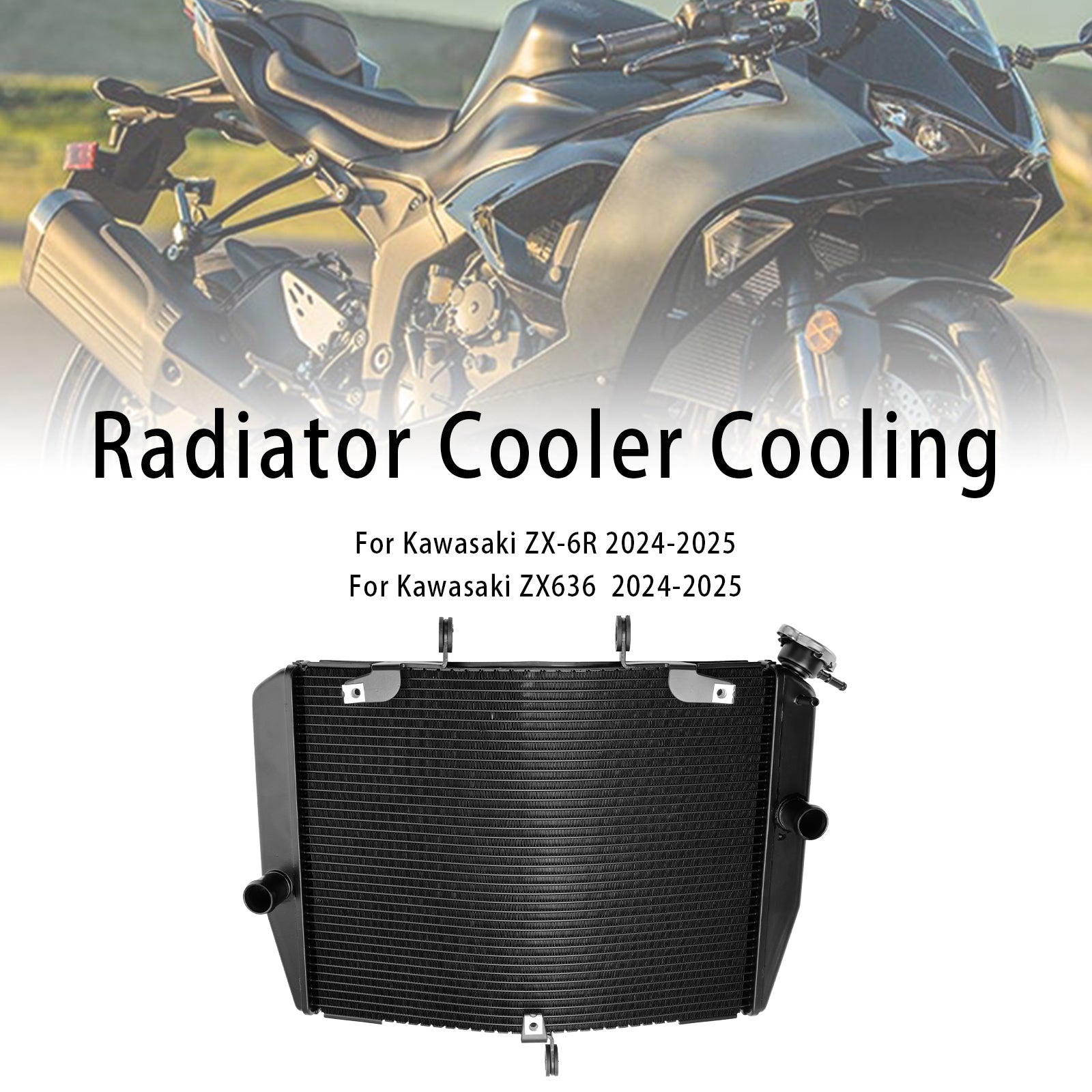 Kawasaki ZX-6R ZX636 2024-2025