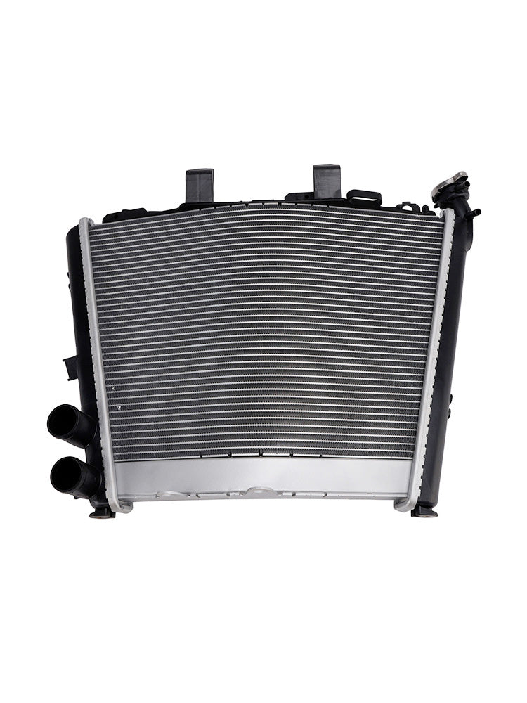 Refroidisseur de radiateur pour moteur BMW M1000R (2023-2025)