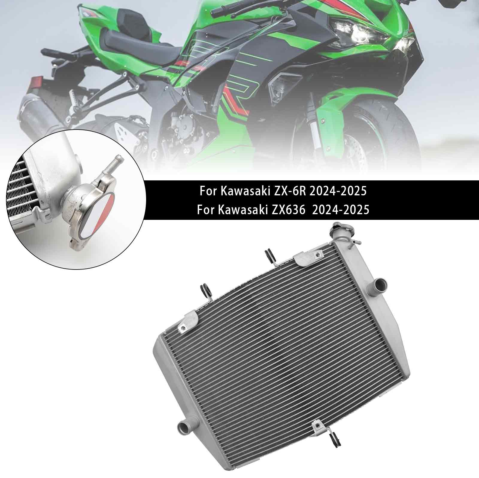 Kawasaki ZX-6R ZX636 2024-2025