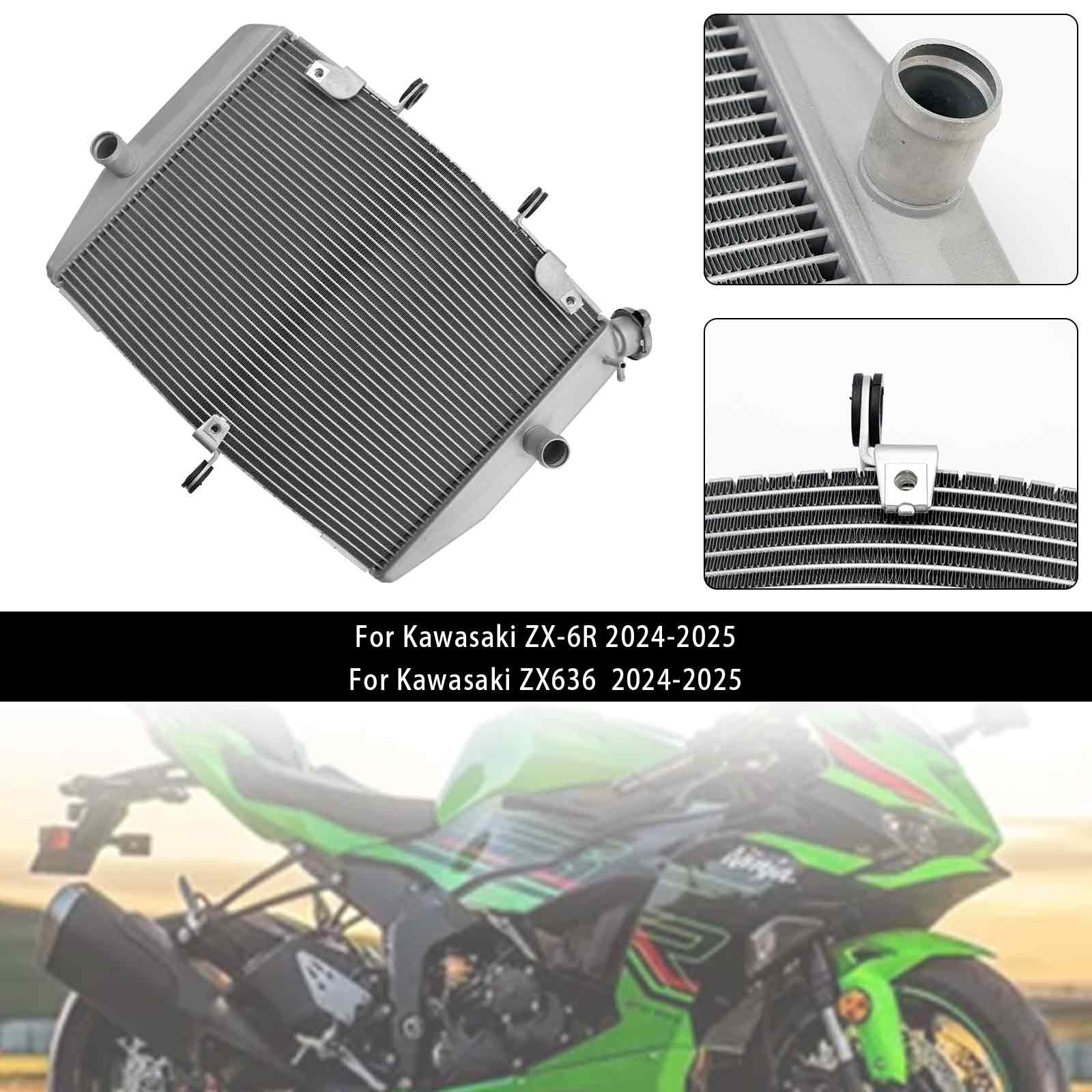 Kawasaki ZX-6R ZX636 2024-2025