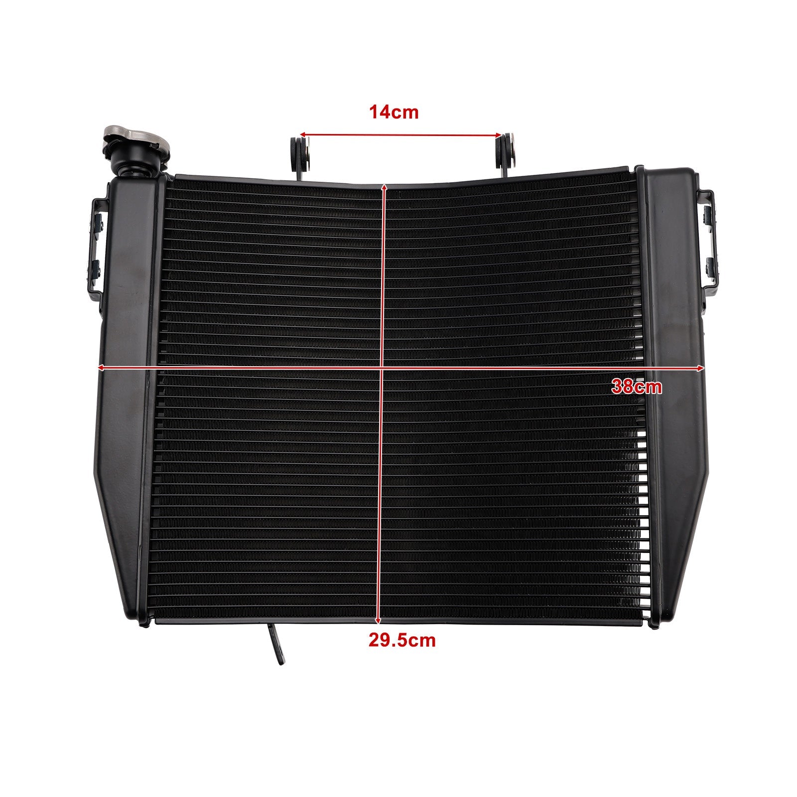 Radiatorkoeler voor Street Triple 765 R/RS-motor (2023-2025)