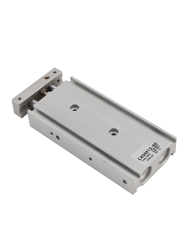 Vérin pneumatique à double tige SMC CXSM15-60 CXSM1030, double effet