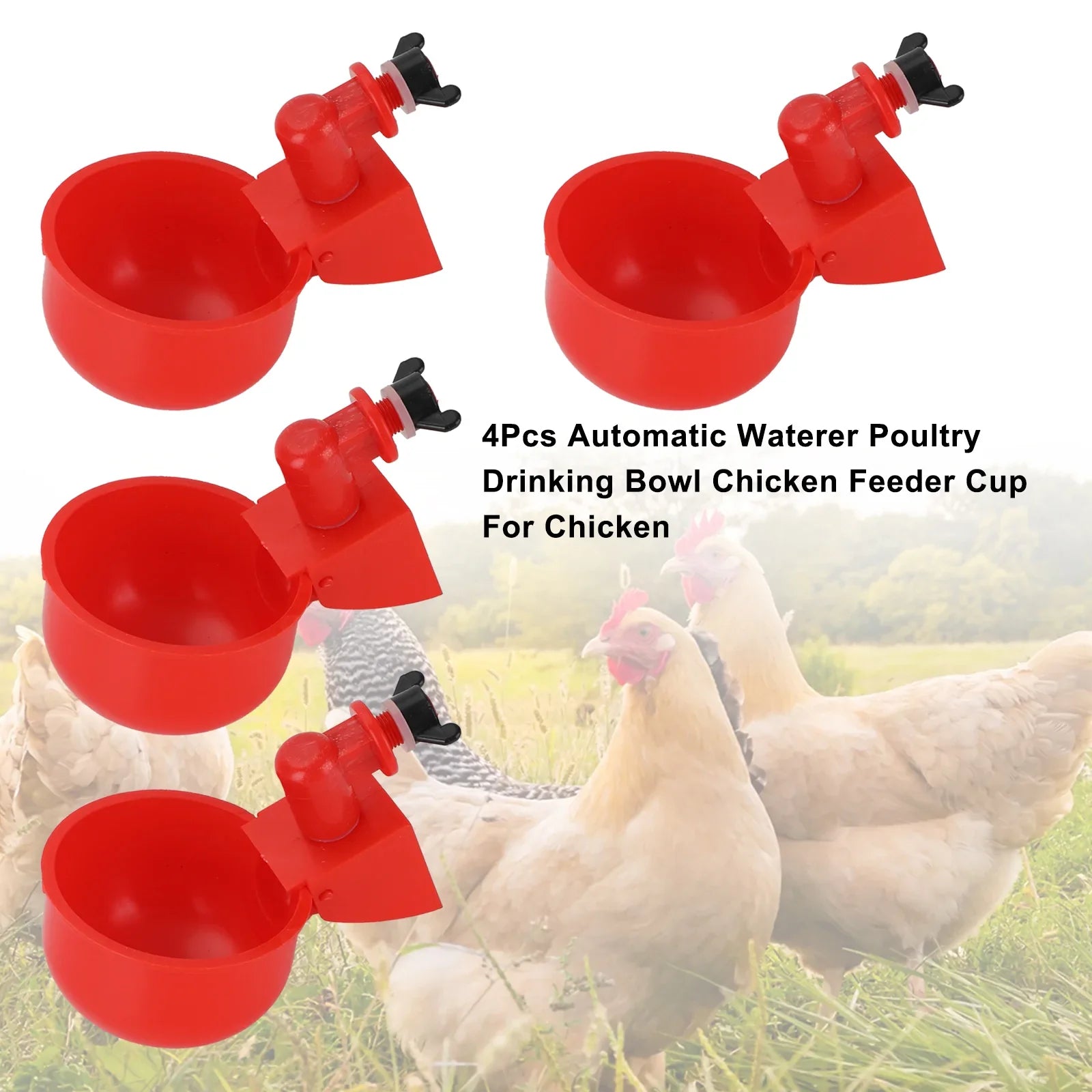 4 pièces automatique abreuvoir volaille bol à boire poulet mangeoire tasse pour poulet