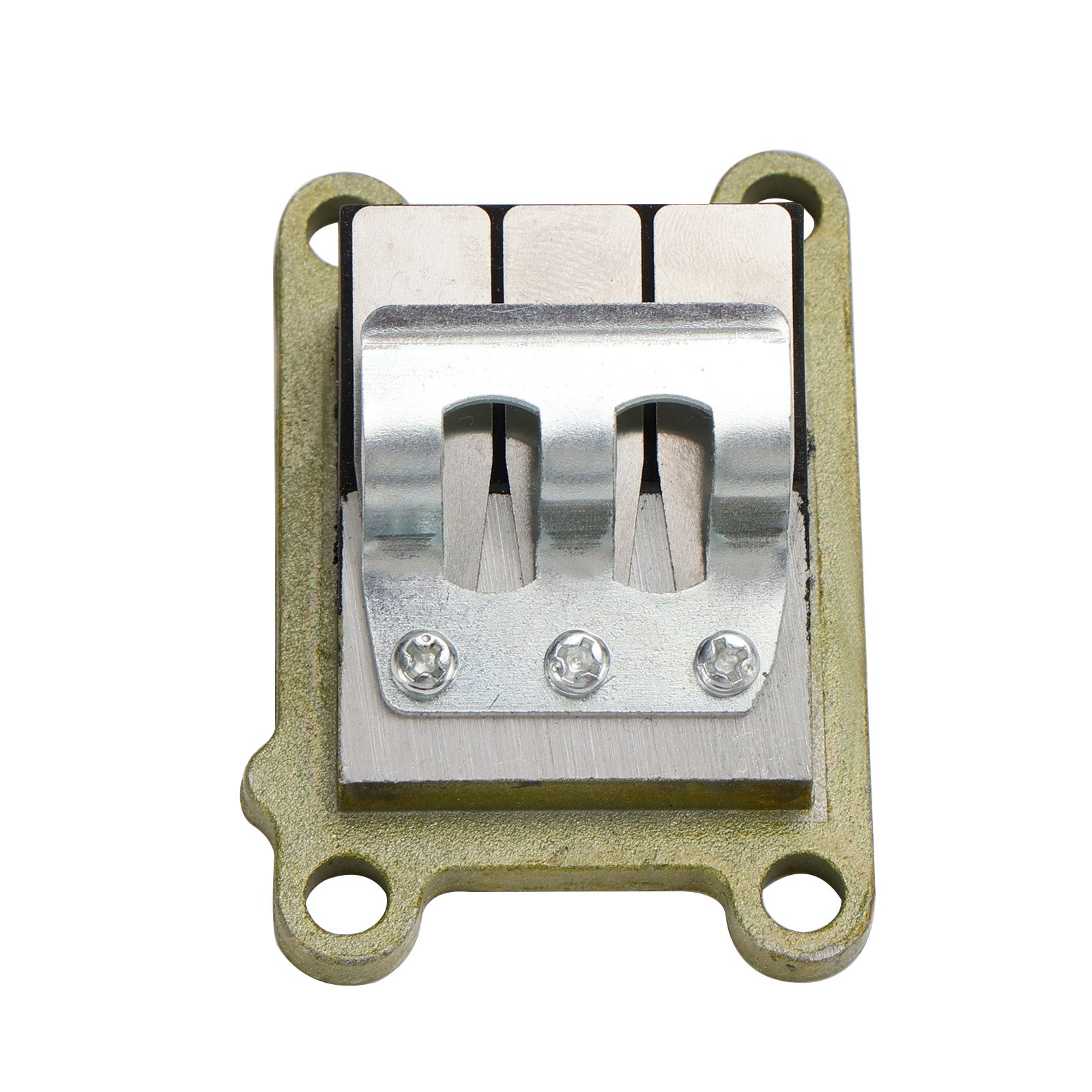 6E0-13610-00 Valve Reed Assy pour moteur hors-bord Yamaha 2 temps 4HP 5HP