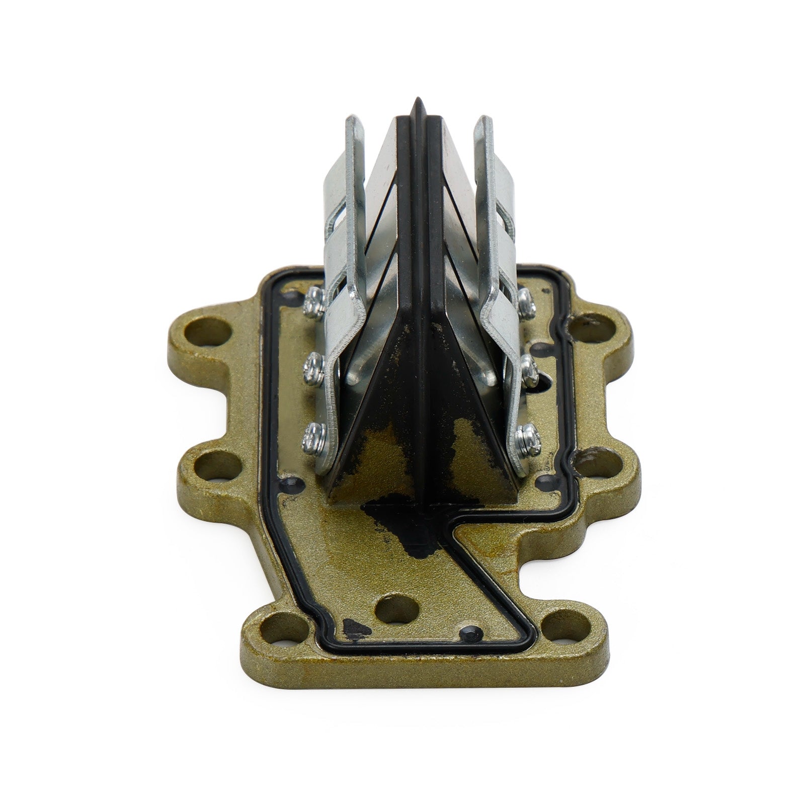 Gruppo valvola lamellare 6E8-13610-01 per la vecchia versione del motore fuoribordo Yamaha 2T 9.9HP 15HP