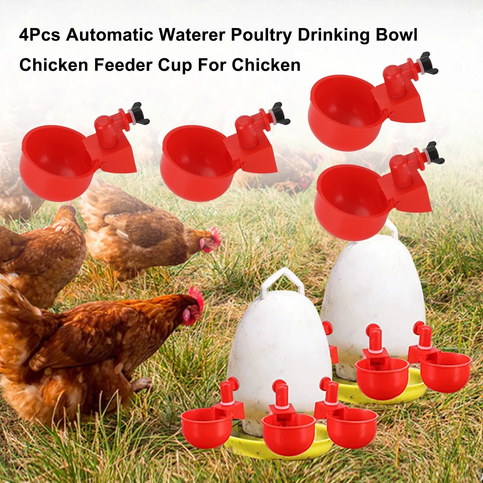 4 pièces automatique abreuvoir volaille bol à boire poulet mangeoire tasse pour poulet