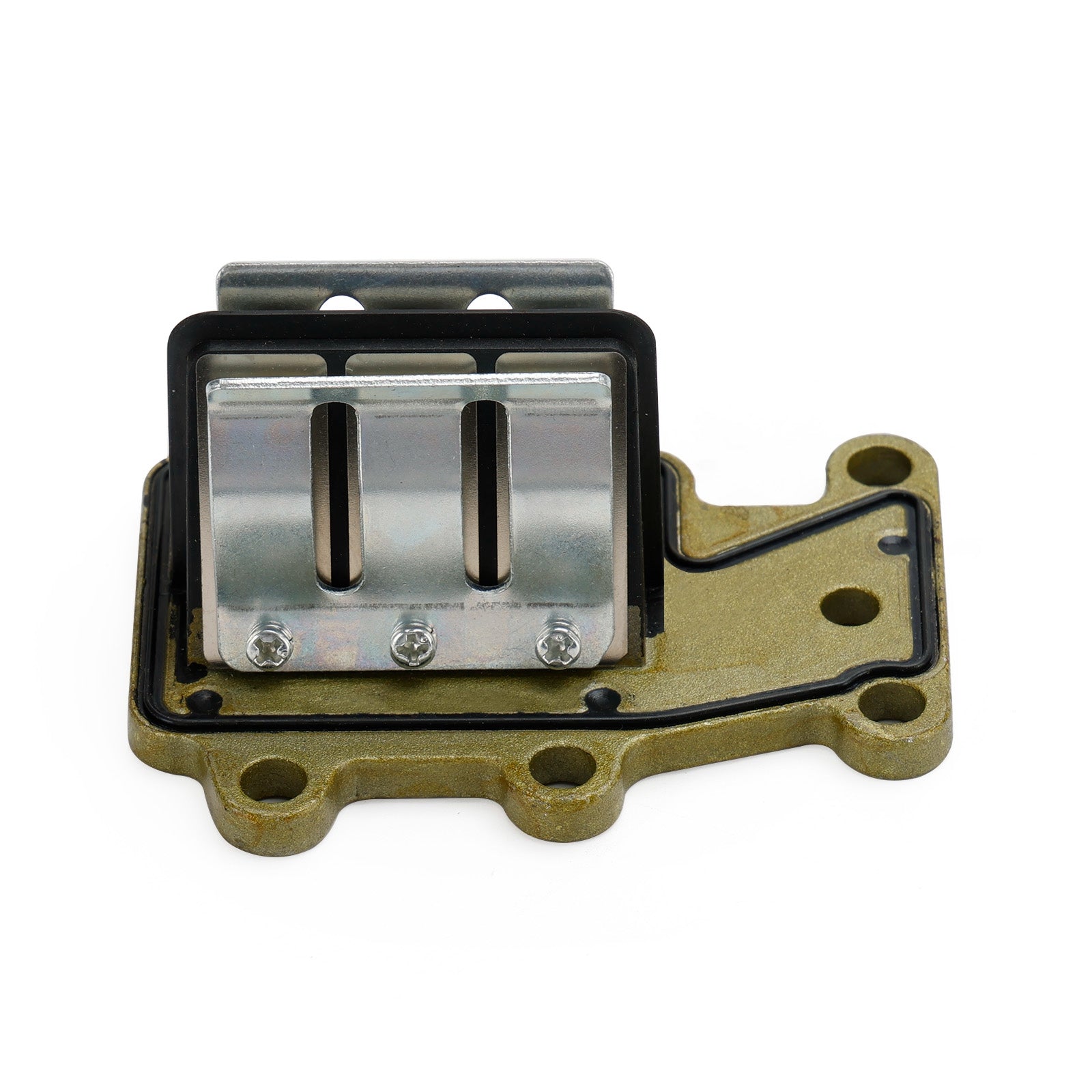 Gruppo valvola lamellare 6E8-13610-01 per la vecchia versione del motore fuoribordo Yamaha 2T 9.9HP 15HP