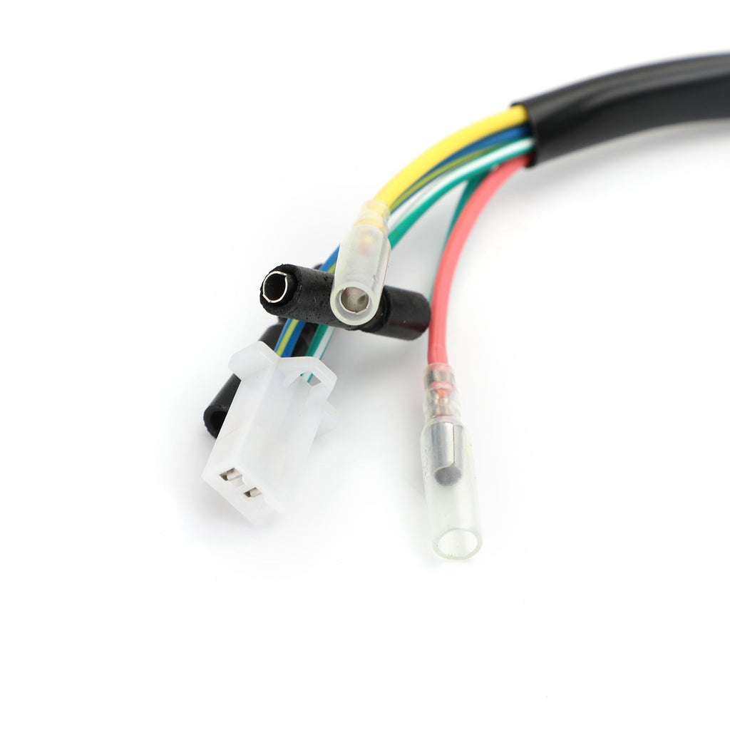 Lichtmaschine Magneto Stator für Honda XR400R XR650R 31120-KCY-671 31120-MBN-671 Generisch