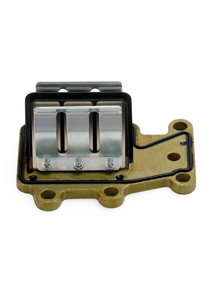 Gruppo valvola lamellare 6E8-13610-01 per la vecchia versione del motore fuoribordo Yamaha 2T 9.9HP 15HP