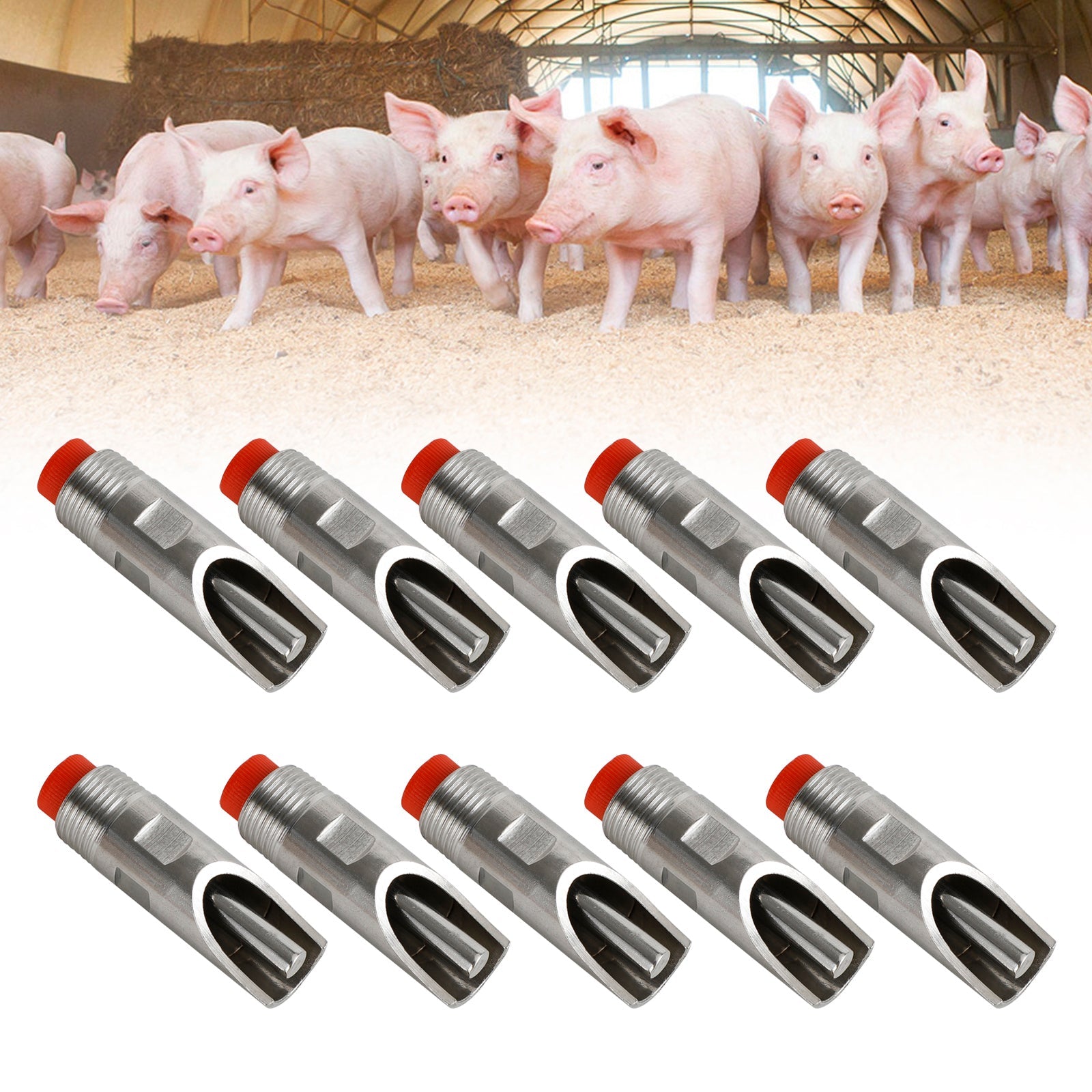 10 pièces en acier inoxydable abreuvoir outils 1/2 "NPT filetage cochon porc automatique Fedex Express