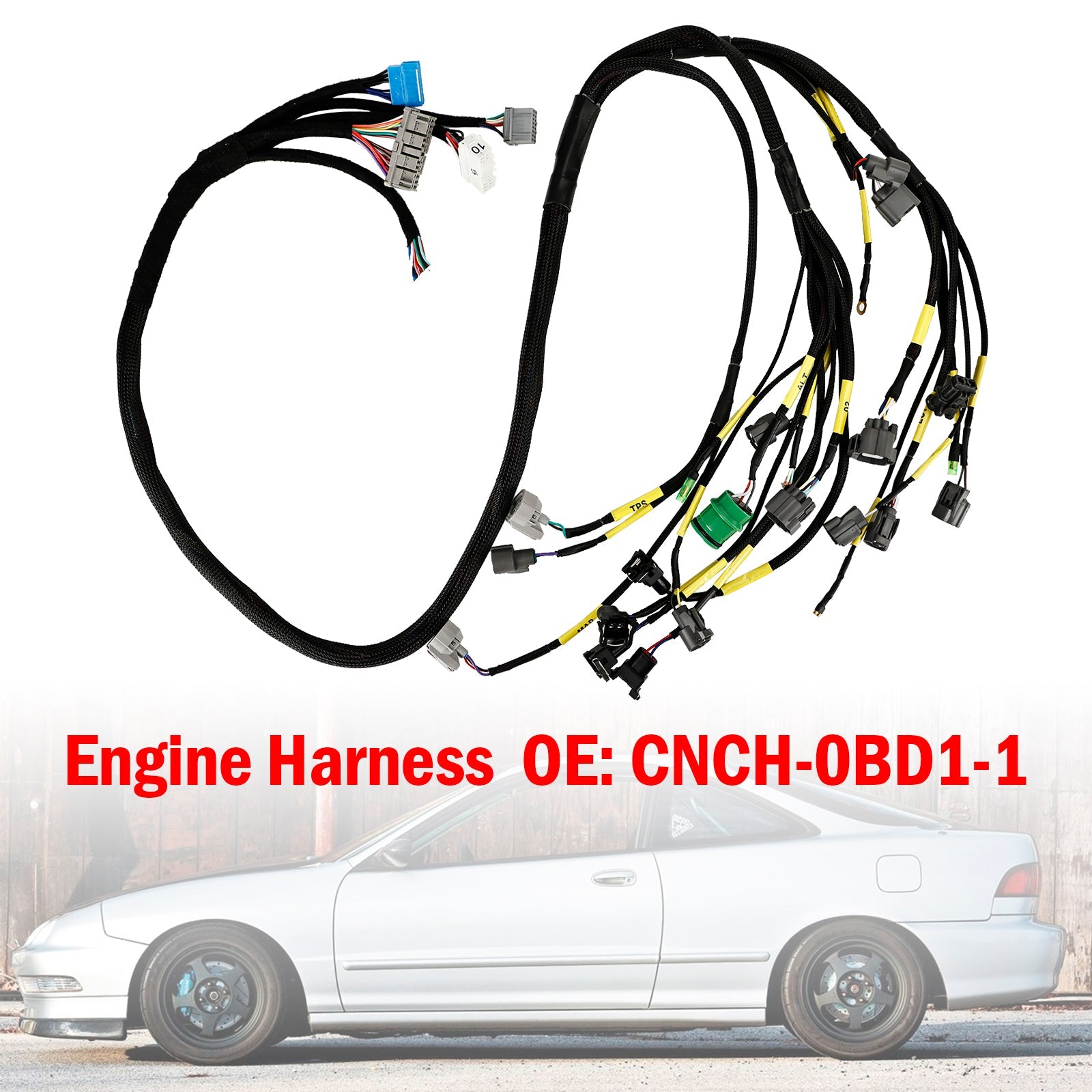 OBD1 Budget D &amp; B-series Faisceau moteur caché pour Civic Integra B16 B18 D16